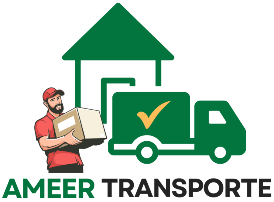 Ameer Transporte
